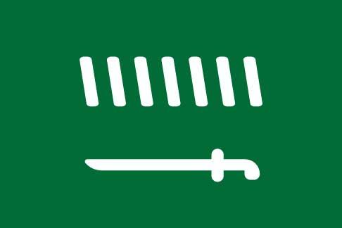 Упрощенный флаг для арабского языка